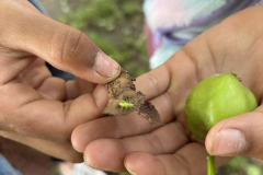 signal-2025-07-14-19-50-42-981